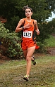 2010NCSXC GD1-1328